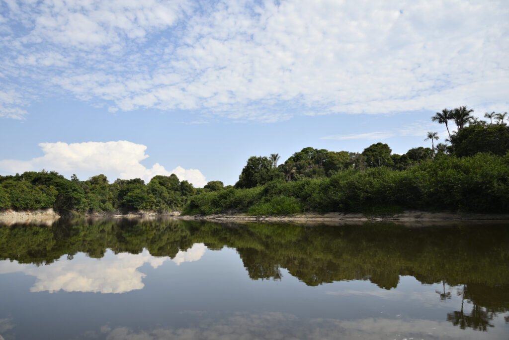 Juruá River, stretch on the Development Sustainable Development (RDS) reserve, path to the Xeruá River, in the Deni Indigenous Land