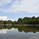 Juruá River, stretch on the Development Sustainable Development (RDS) reserve, path to the Xeruá River, in the Deni Indigenous Land