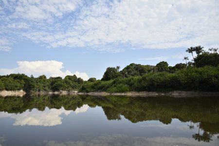 Juruá River, stretch on the Development Sustainable Development (RDS) reserve, path to the Xeruá River, in the Deni Indigenous Land