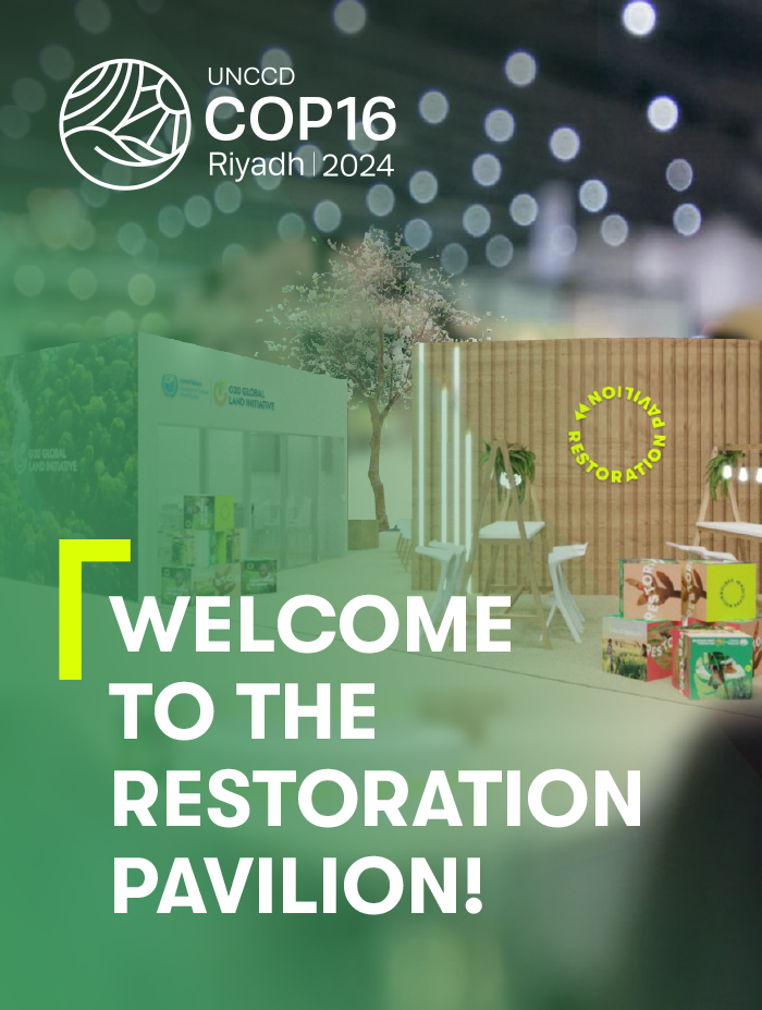 Welcome to the Restoration Pavilion