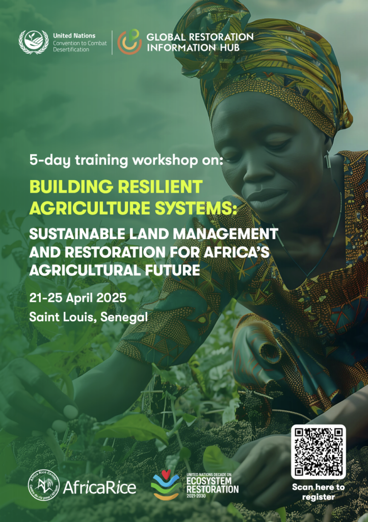 Cover image for Africa Rice 5 training