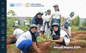 Cover for Annual Report 2024