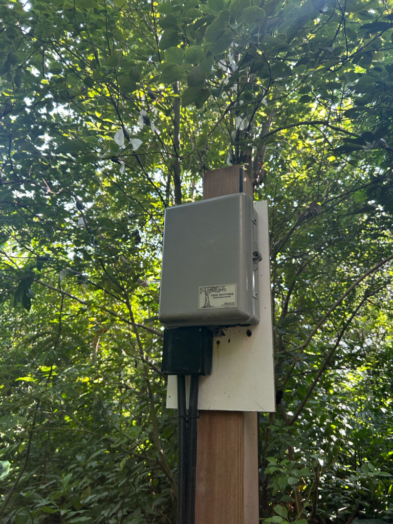 Device to measure electricity in trees