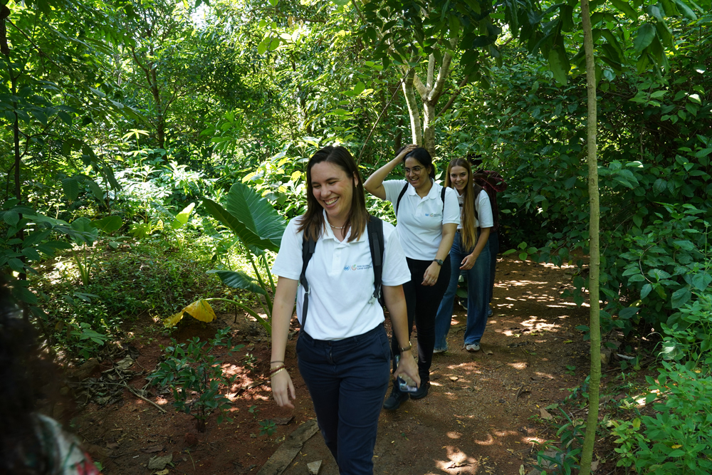 A group of women trekking in rain forest