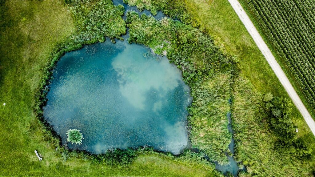 Aerial view of a lake