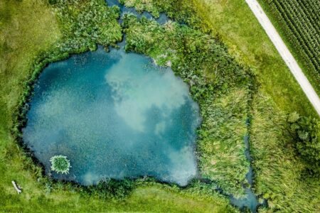 Aerial view of a lake