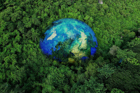 World in forest visual