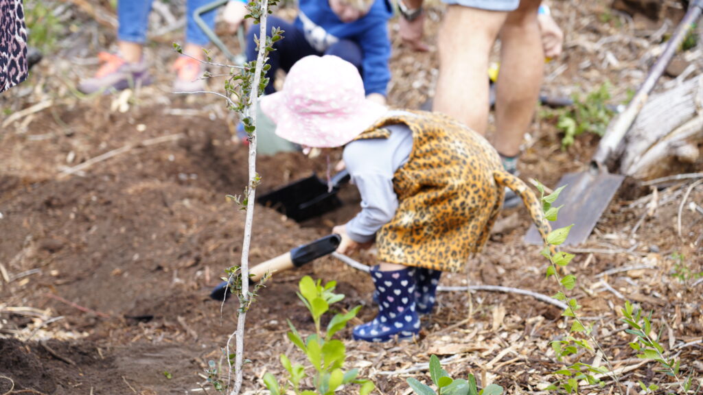A young girl digs in the soil to plant sapling