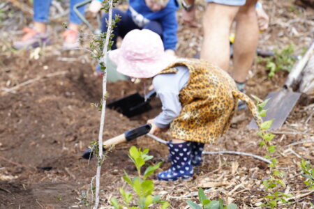 A young girl digs in the soil to plant sapling