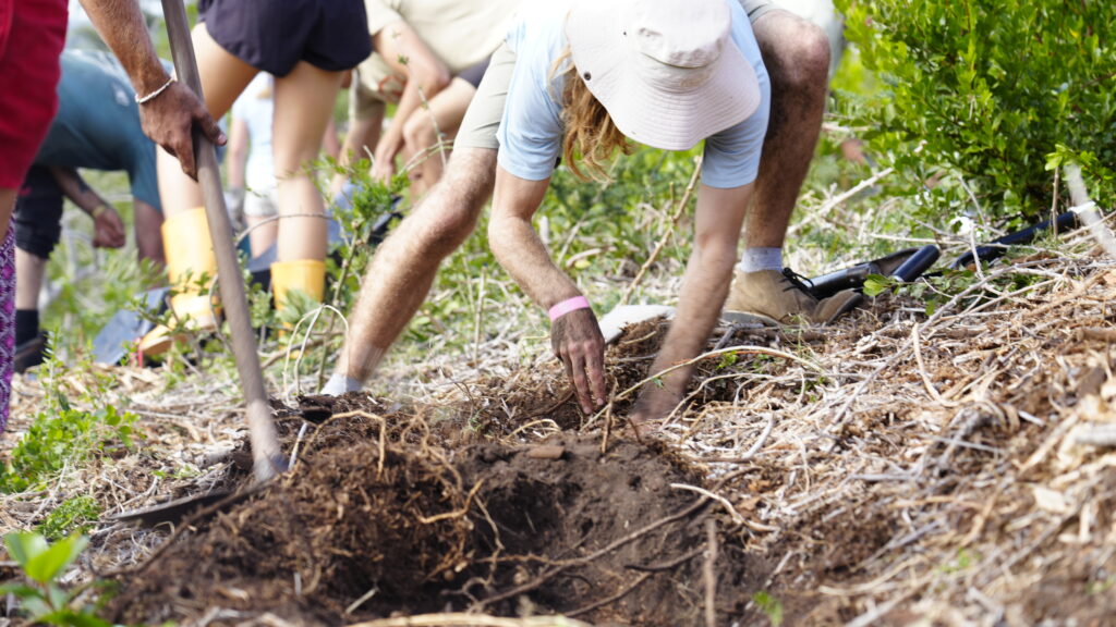 A woman digs into the soil to plant a sapling.
