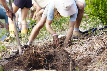 A woman digs into the soil to plant a sapling.
