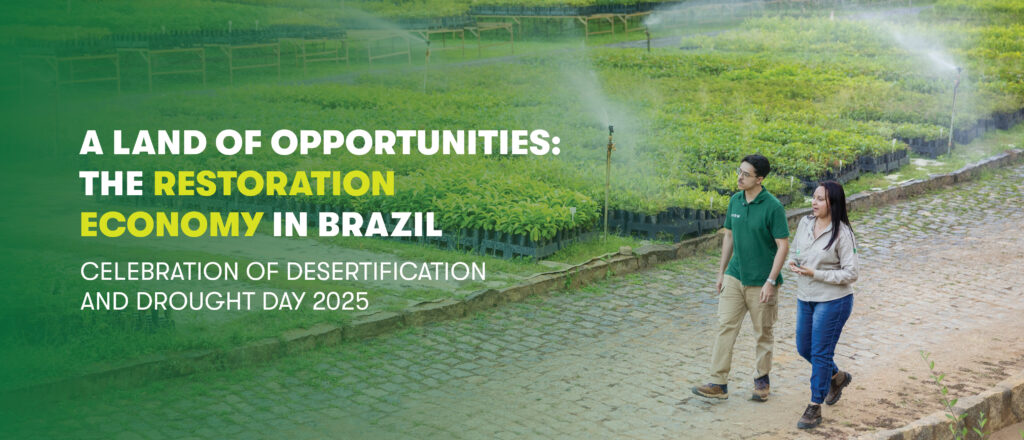 Visual for restoration economy in Brazil