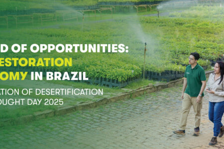 Visual for restoration economy in Brazil