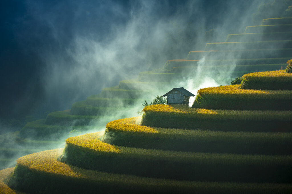 A house sits alone among mist in layers of rice terrace fields, in Viet Nam
