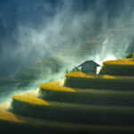 A house sits alone among mist in layers of rice terrace fields, in Viet Nam