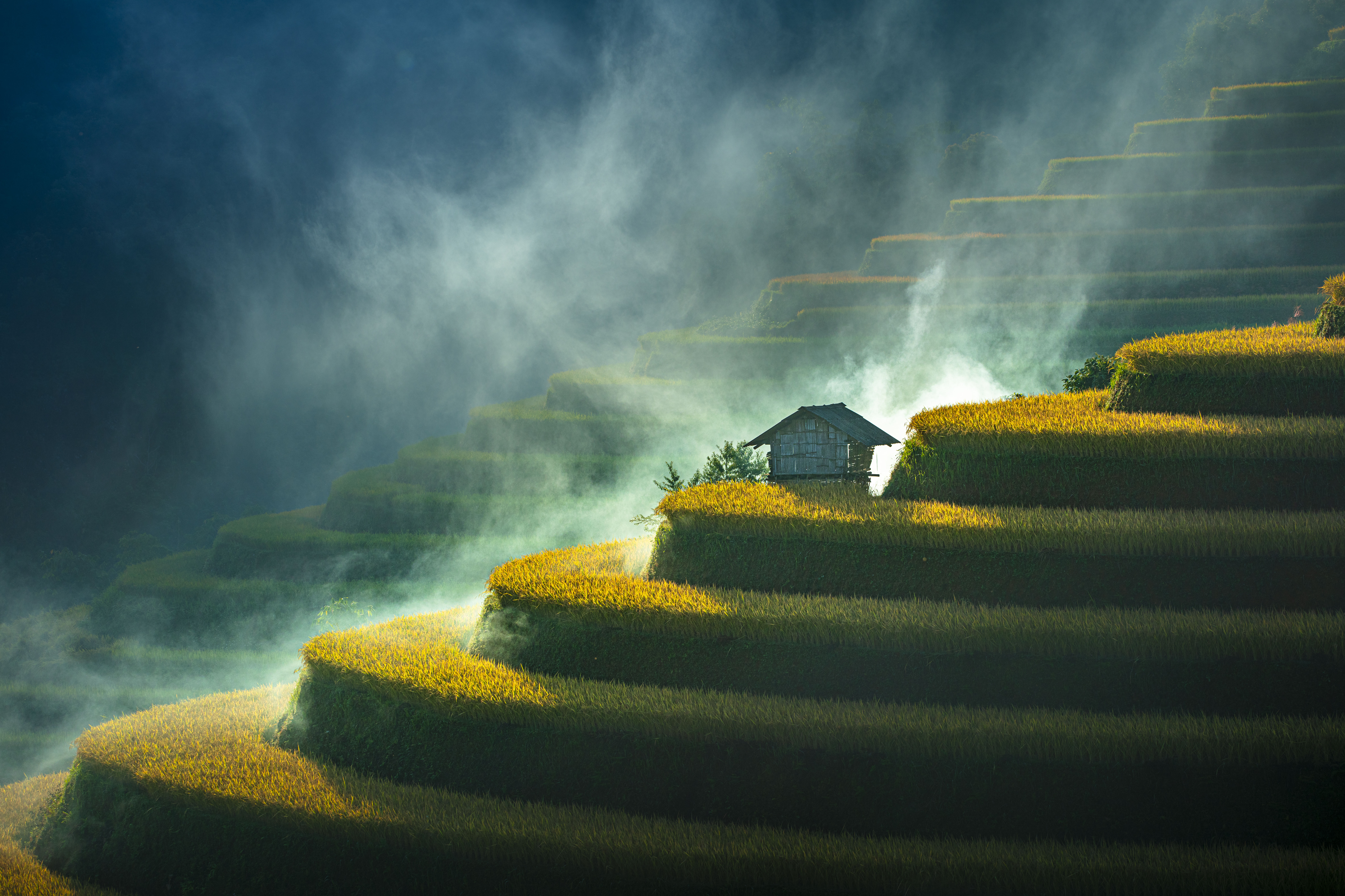 A house sits alone among mist in layers of rice terrace fields, in Viet Nam