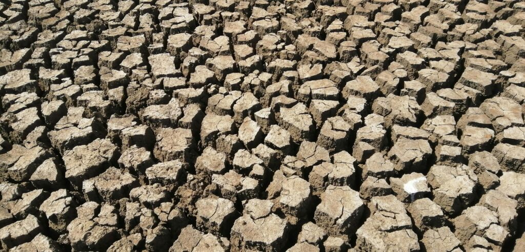 Dry land