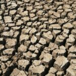 Cracked earth in drought
