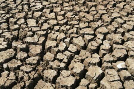 Dry land