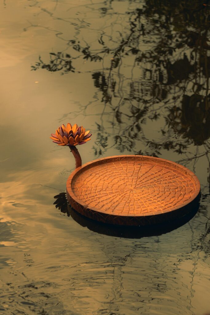 Wooden tray and pine on water