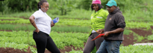 Three people converse in fields in Kenya