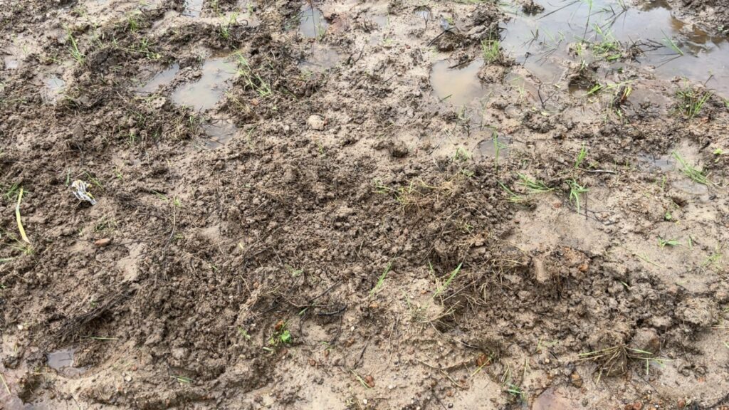 Wet soil in Sierra Leone