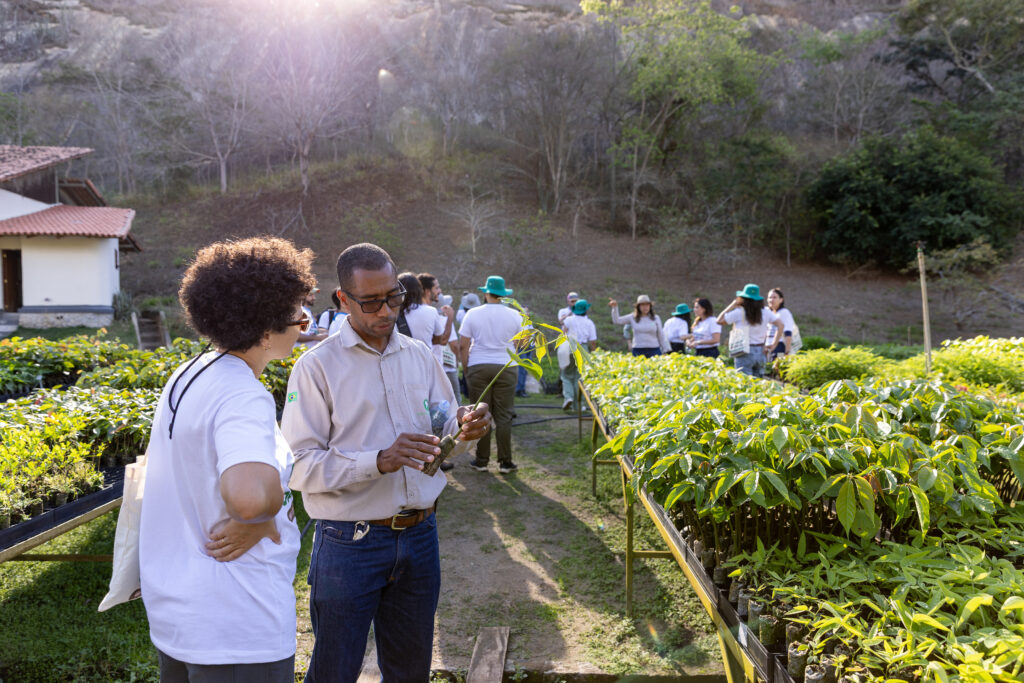 People in garden