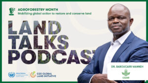 Baboucarr Manneh Land Talks