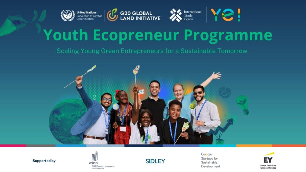 YECO Programme 2025 visual