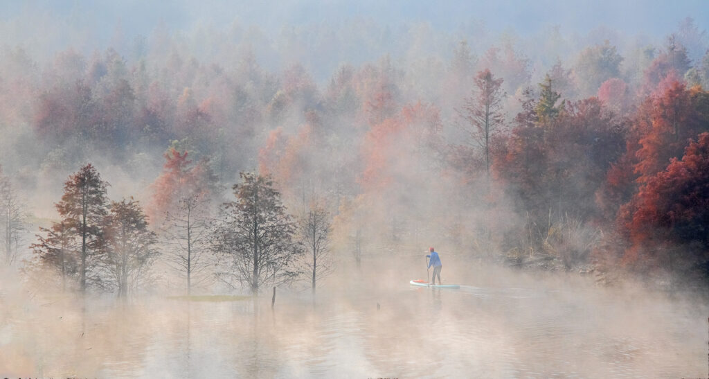 Man paddles in water among trees in China