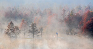 Man paddles in water among trees in China