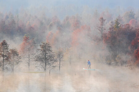 Man paddles in water among trees in China