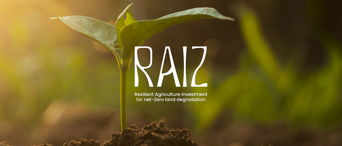 RAIZ resilient agriculture investment for net-zero land degredation