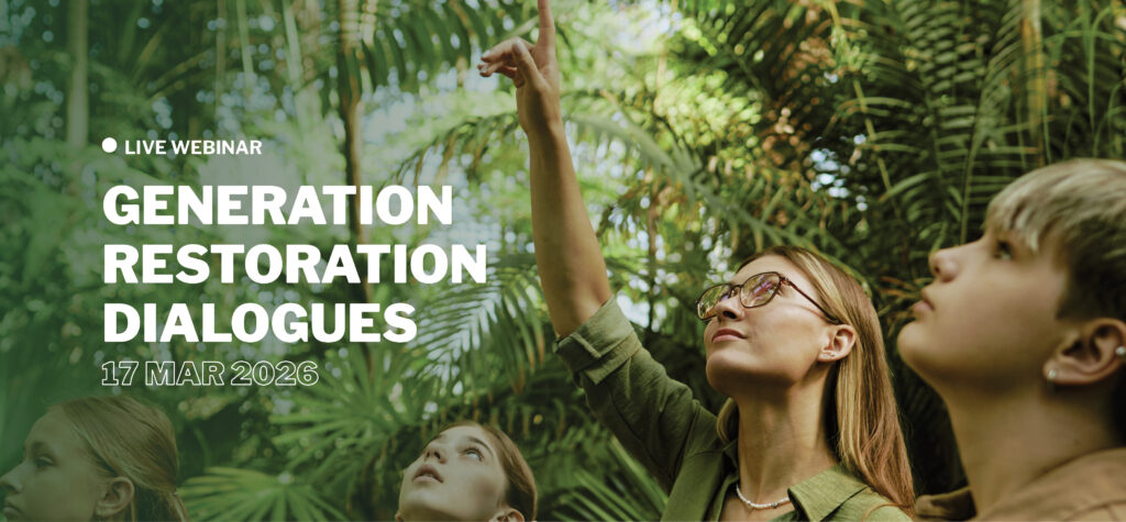 A woman points at palm tree leaves with two young women students