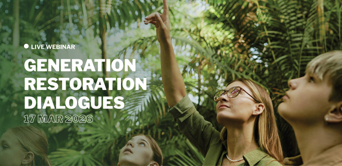A woman points at palm tree leaves with two young women students
