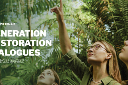 A woman points at palm tree leaves with two young women students
