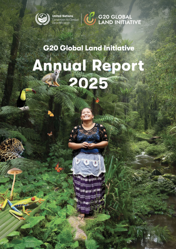 Annual report 2025 cover