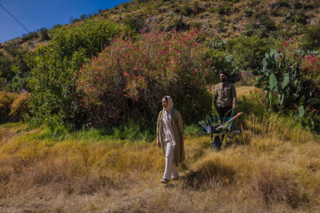 A man pushing wheel barrel for planting trees in Saudi Arabia while a woman walks in front