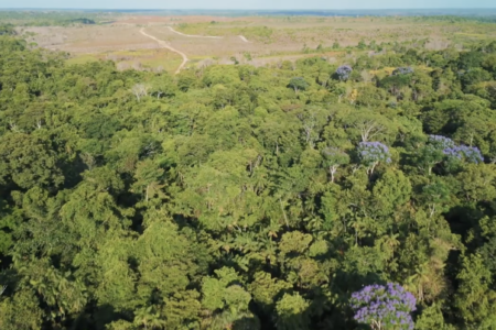 Restored and degraded Amazon land