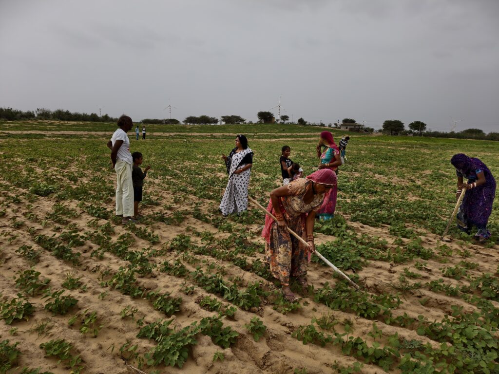 Women farmers tilling soil in India