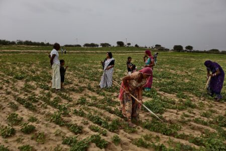 Women farmers tilling soil in India