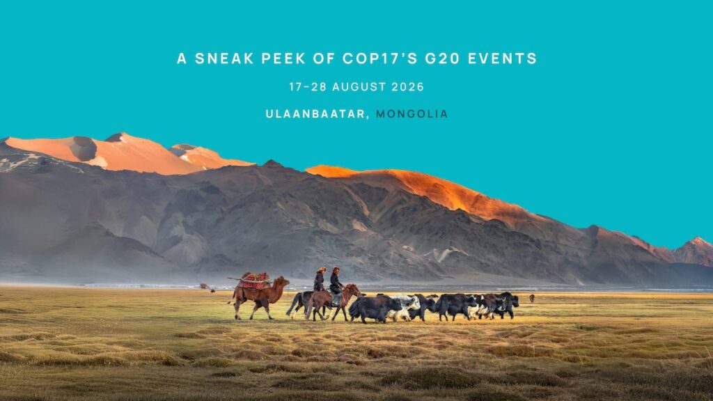 A sneak peek into COP17’s G20 events