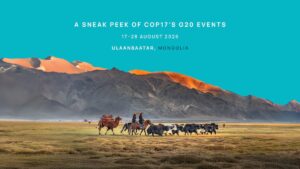 A sneak peek into COP17’s G20 events