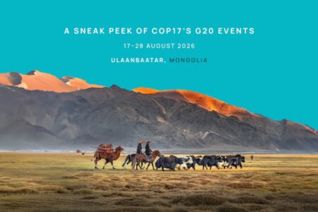 A sneak peek into COP17’s G20 events