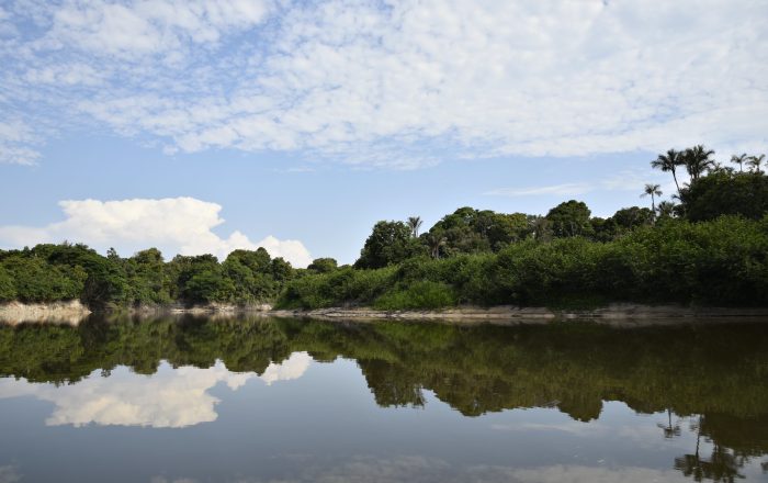 Juruá River, stretch on the Development Sustainable Development (RDS) reserve, path to the Xeruá River, in the Deni Indigenous Land