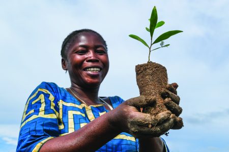 A woman holds sapling