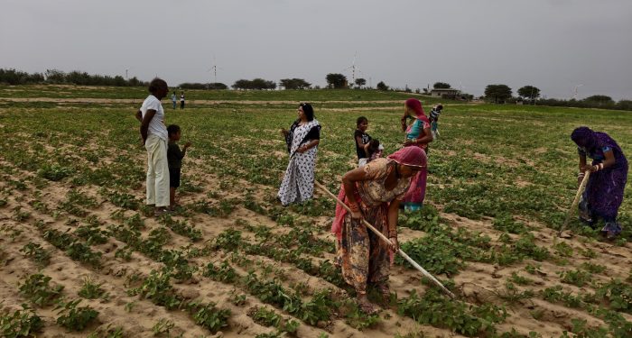Women farmers tilling soil in India